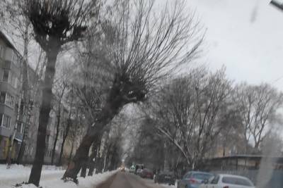 Аварийное дерево на улице Шевченко в Рязани распилили и вывезли