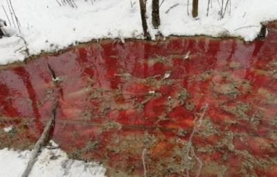 Жители Карелии опубликовали видео «кровавой реки»