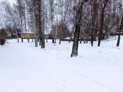 Лютые морозы и затяжные снегопады: январь 2021 ошарашит украинцев, детальный прогноз погоды
