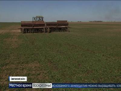 Как в Ростовской области готовятся к масштабной сельхозпереписи?
