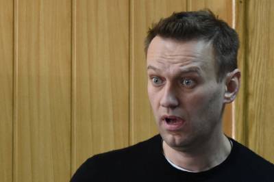 Юристы считают, что опубликованного видео Навального достаточно для возбуждения дела