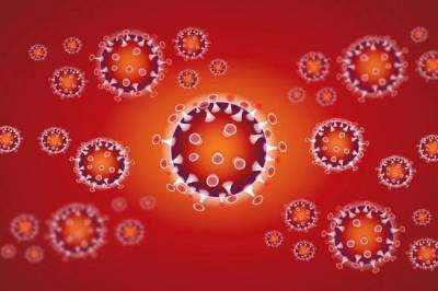 Выявлен новый более агрессивный штамм коронавируса из ЮАР