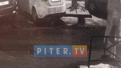 Видео: неизвестный вырвал сумку у петербурженки на улице