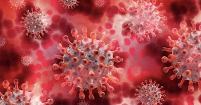 Новый штамм коронавируса обнаружили в Нигерии
