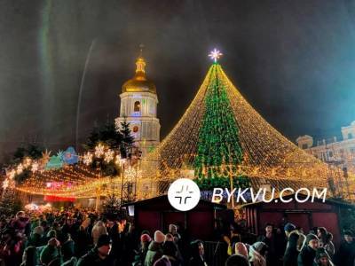 Украинская елка попала в топ-10 лучших новогодних красавиц Европы