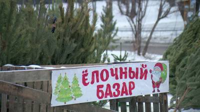 В Воронеже во время рейдов изъяли 200 нелегальных ёлок
