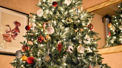 Эколог Акулова рассказала о правильной утилизации новогодней елки