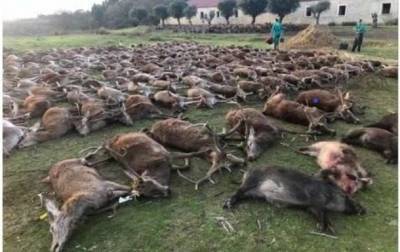 Скандал в Португалии: 16 охотников убили 540 животных и опубликовали их фото