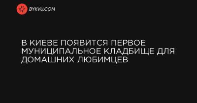 В Киеве появится первое муниципальное кладбище для домашних любимцев