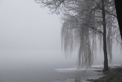 Туман, мокрый снег и дождь ожидаются в Беларуси 24 декабря