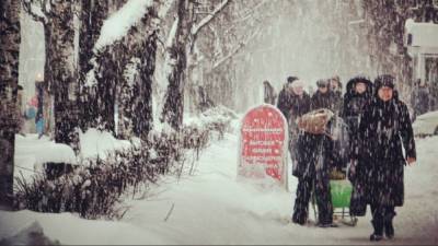 Вильфанд пообещал москвичам снежный коллапс