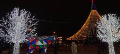 Цветной медведь и сверкающие деревья украсили центральную площадь Петрозаводска (ФОТО)