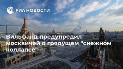 Вильфанд предупредил москвичей о грядущем "снежном коллапсе"