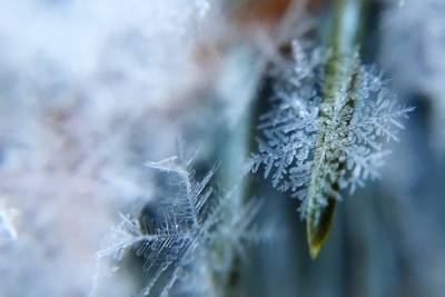 В Удмуртии ожидается небольшое похолодание в пятницу, 25 декабря