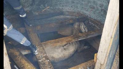 В Башкирии спасли застрявшую в сарае лошадь