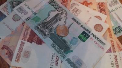 Эксперты Счетной палаты призвали к новым соцвыплатам для россиян