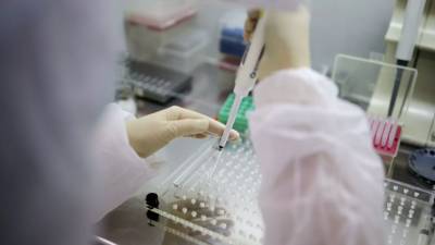 В России за сутки провели 516 тысяч тестов на коронавирус