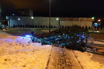 В Новомосковске упала новогодняя елка