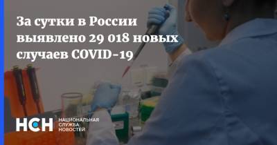 За сутки в России выявлено 29 018 новых случаев COVID-19
