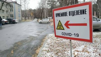 В России за сутки выявили более 29 тысяч новых случаев Covid-19