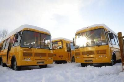 Кузбасский автопарк пополнился 70 новыми школьными автобусами