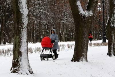 За неделю новогодние выплаты на детей получили 13,5 млн россиян