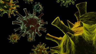 Мутации коронавируса расползаются по миру. Уже появилось три варианта