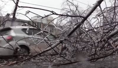 Непогода натворила бед: сотни населенных пунктов отрезаны от электричества