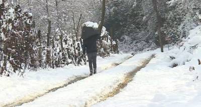Настоящая зима: высокогорную Аджарию завалило снегом - видео
