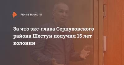 За что экс-глава Серпуховского района Шестун получил 15 лет колонии