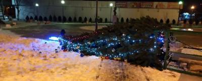 В Новомосковске рухнула новогодняя елка, ее вернули на место