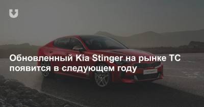 Обновленный Kia Stinger на рынке ТС появится в следующем году