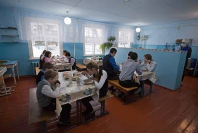 В Иркутской области завели дело после массового отравления детей в школе