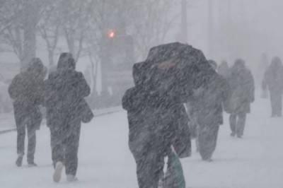 Харьков засыпало снегом, а Днепр превратился в каток: фото и видео последствий непогоды