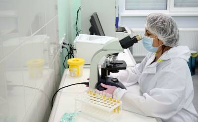 В Узбекистане новый штамм коронавируса из Великобритании не обнаружен – Алишер Шадманов