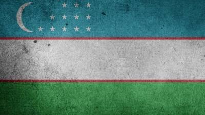 Россия упростила организованный въезд в страну для граждан Узбекистана