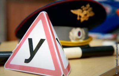 МВД предложило оценивать автошколы по авариям их выпускников