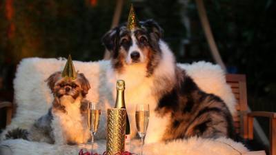Как нестандартно отпраздновать Новый год: 10 интересных идей
