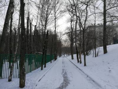 Легкий мороз и слабый снег: синоптики рассказали о погоде в Москве в выходные
