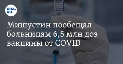 Мишустин пообещал больницам 6,5 млн доз вакцины от COVID