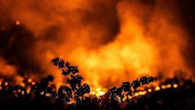 Лесной пожар вплотную подошел к военной базе в Калифорнии