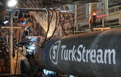 В Сербии анонсировали начало поставок газа через Турецкий поток