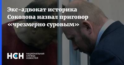 Экс-адвокат историка Соколова назвал приговор «чрезмерно суровым»
