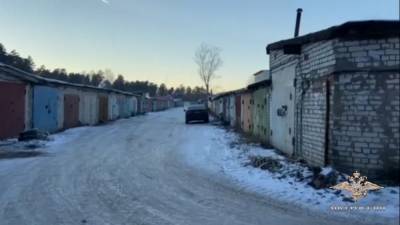 Автомобили на 17 млн рублей украла банда из Нижегородской области