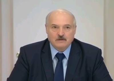 Александр Лукашенко рассказал о раскрытой в Беларуси группе террористов, ввозившей в страны «тонны оружия»