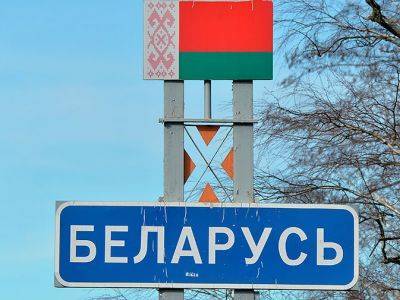 В Беларуси планируют создать пророссийскую партию