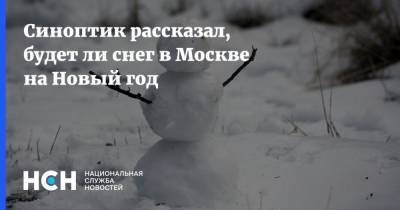 Синоптик рассказал, будет ли снег в Москве на Новый год