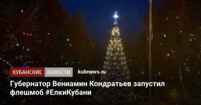 Губернатор Вениамин Кондратьев запустил флешмоб #ЕлкиКубани