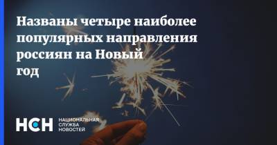 Названы четыре наиболее популярных направлений россиян на Новый год