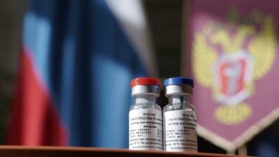 Гинцбург поддержал ввод "паспортов" при вакцинации от коронавируса
